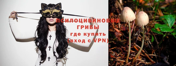 ALPHA PVP Алзамай