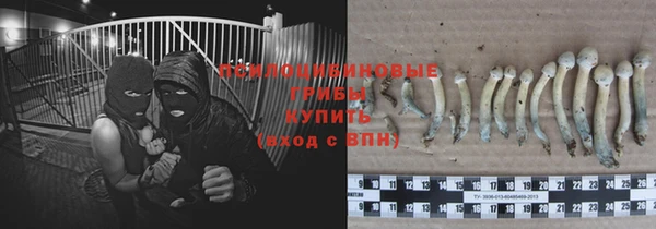 ALPHA PVP Алзамай