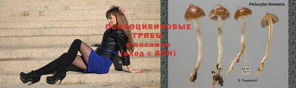 экстази Алексин