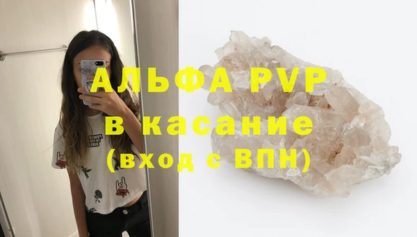 хмурый Абаза