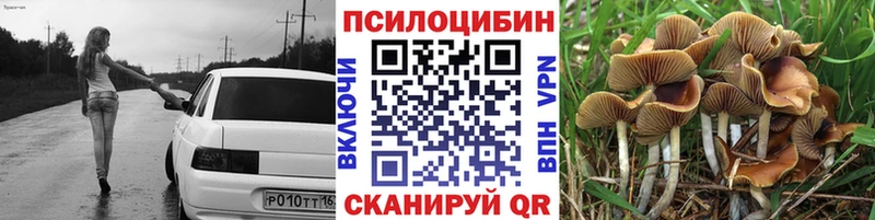 Галлюциногенные грибы Magic Shrooms даркнет сайт Катав-Ивановск